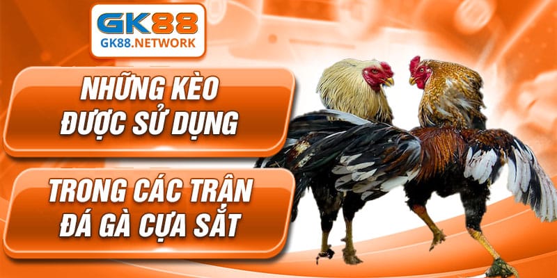 Đầu tư hiệu quả với các loại kèo đá gà đơn giản