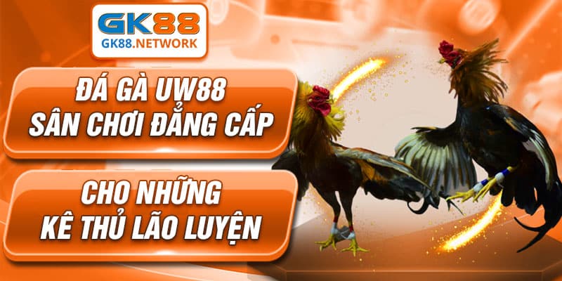 Đá Gà UW88 - Sân Chơi Đẳng Cấp Cho Kê Thủ Lão Luyện