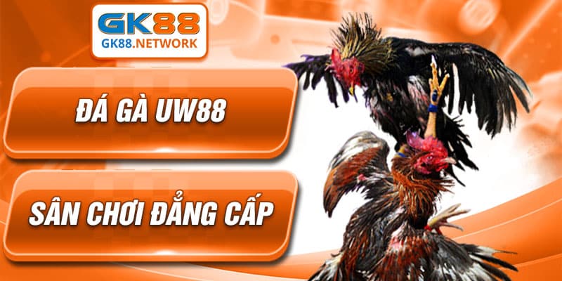 Đá gà UW88 - sân chơi đẳng cấp