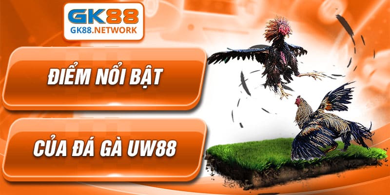 Sân chơi đá gà UW88 tại GK88 toàn diện