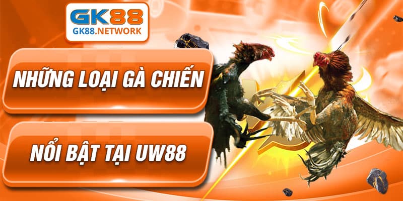 Chơi đá gà UW88 cần quản lý vững tài chính
