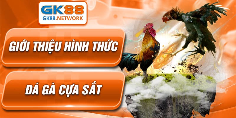 Những tìm hiểu ban đầu về đá gà cựa sắt