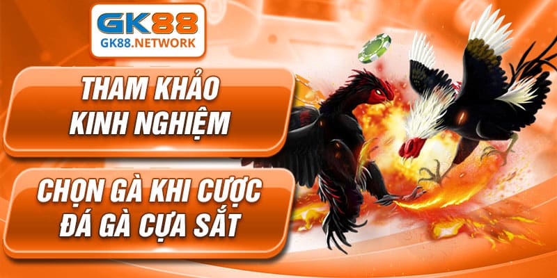 Mẹo hiệu quả để chơi cược đá gà