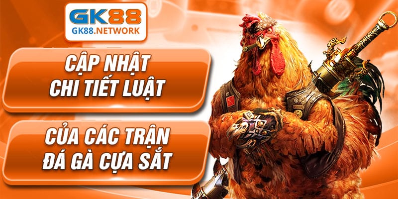 Những quy tắc cần nắm trong cuộc chơi đá gà cựa sắt