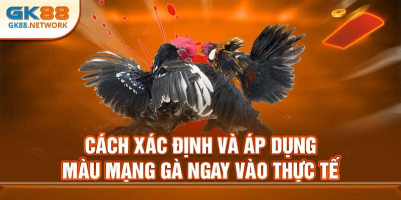 Cách xác định và áp dụng màu mạng gà ngay vào thực tế