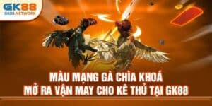 Màu Mạng Gà Chìa Khoá Mở Ra Vận May Cho Kê Thủ Tại GK88