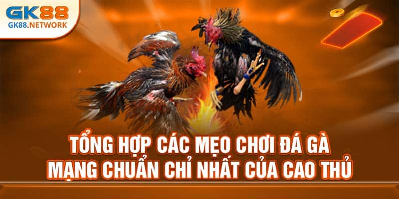 Tổng Hợp Các Mẹo Chơi Đá Gà Mạng Chuẩn Chỉ Nhất Tại GK88