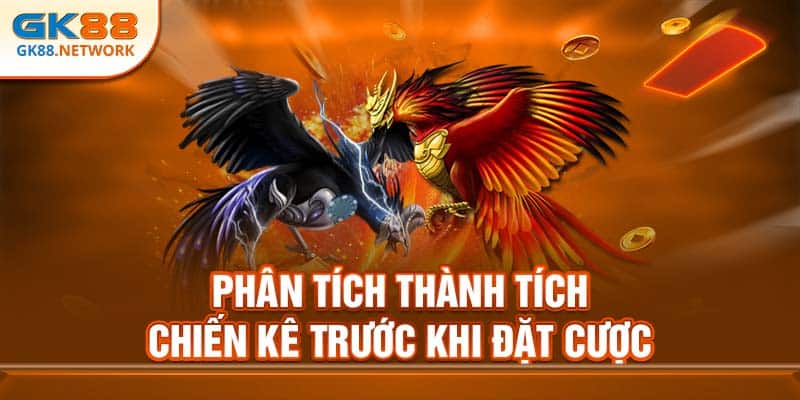 Phân tích thành tích chiến kê trước khi đặt cược