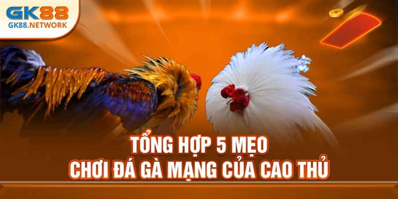 Tổng hợp 5 mẹo chơi đá gà mạng của cao thủ